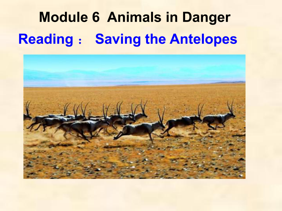 高中英语《saving the antelopes》优质教学课件设计.pptx_第1页