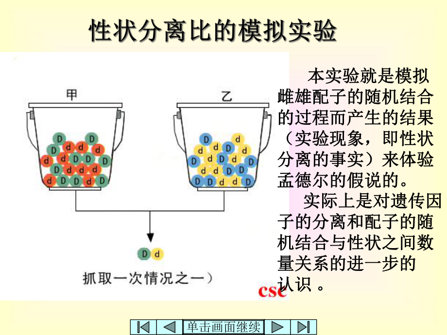 高中生物必修2《遗传与进化》(新人教版)孟德尔的杂交实验(一)课件2.pptx_第2页