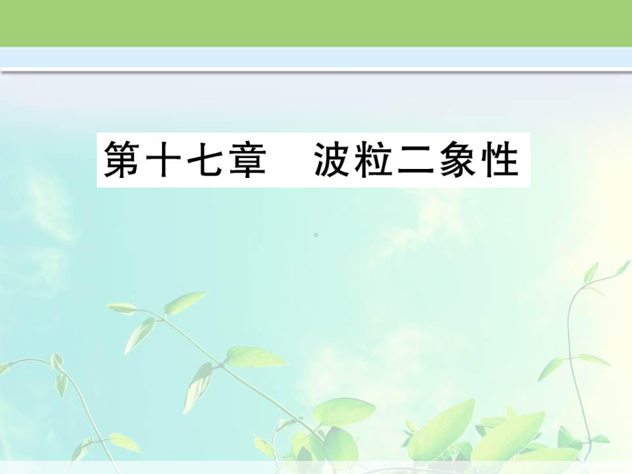 高中物理 粒子的波动性课件.ppt_第1页