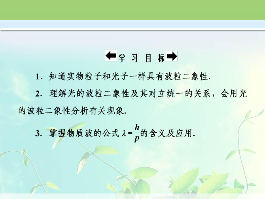 高中物理 粒子的波动性课件.ppt_第3页