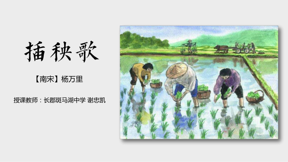 高中语文统编版插秧歌优秀课件2.pptx_第1页