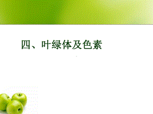 高中生物必修一光合作用-叶绿体和过程课件.ppt