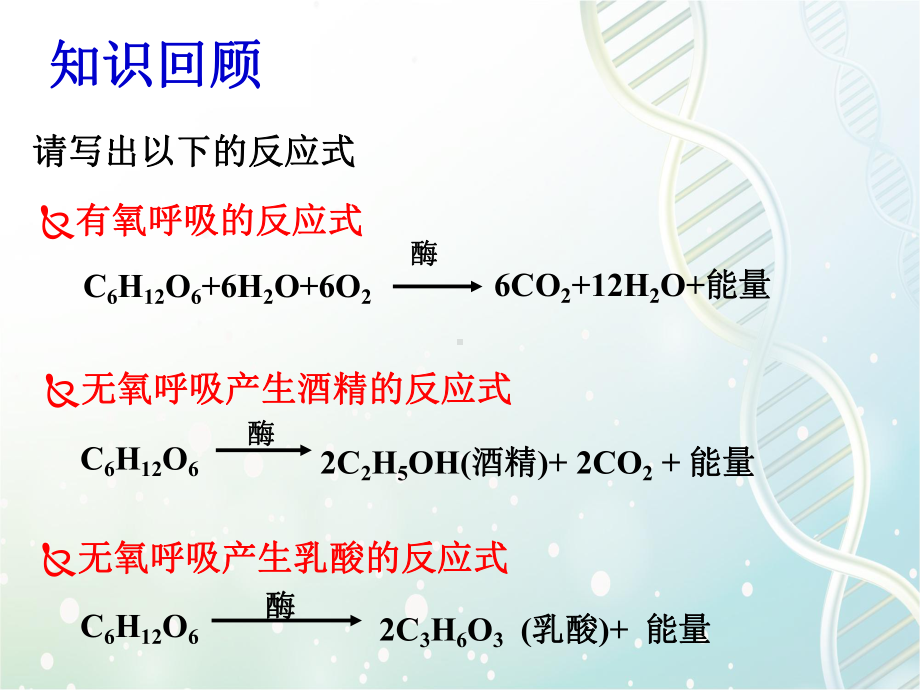 高三生物一轮复习课件7：细胞呼吸.pptx_第3页