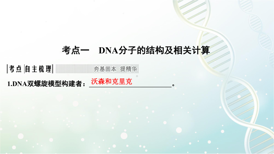 高三生物一轮复习优质课件：DNA的结构、复制及基因的本质.pptx_第2页