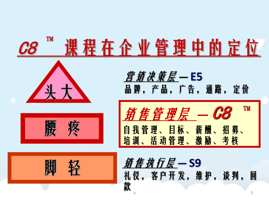 销售经理的角色定位与自我管理课件.ppt_第3页