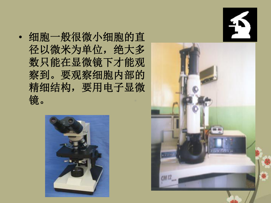 高中生物 细胞的结构全套课件 浙科版必修1.ppt_第3页