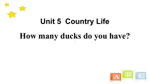 鲁科版五年级英语下How many ducks do you have？课件2.pptx（纯ppt,无音视频）