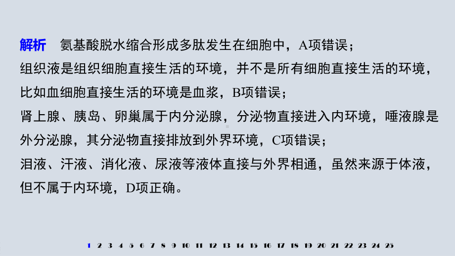 高中生物人教版选择性必修一第1章 章末检测卷(一)课件.pptx_第3页