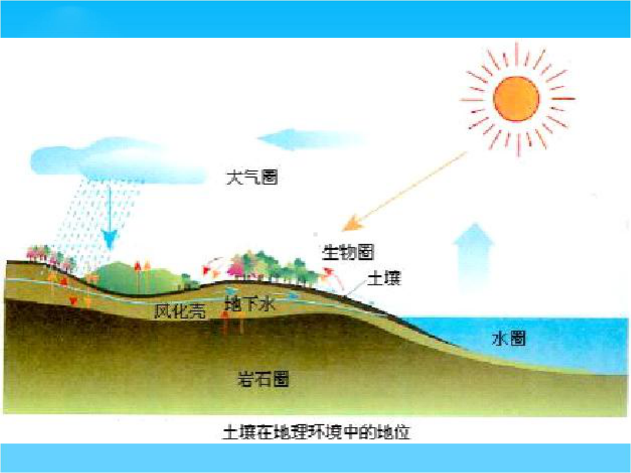 高中地理土壤课件旧人教版高中必修上册.ppt_第2页