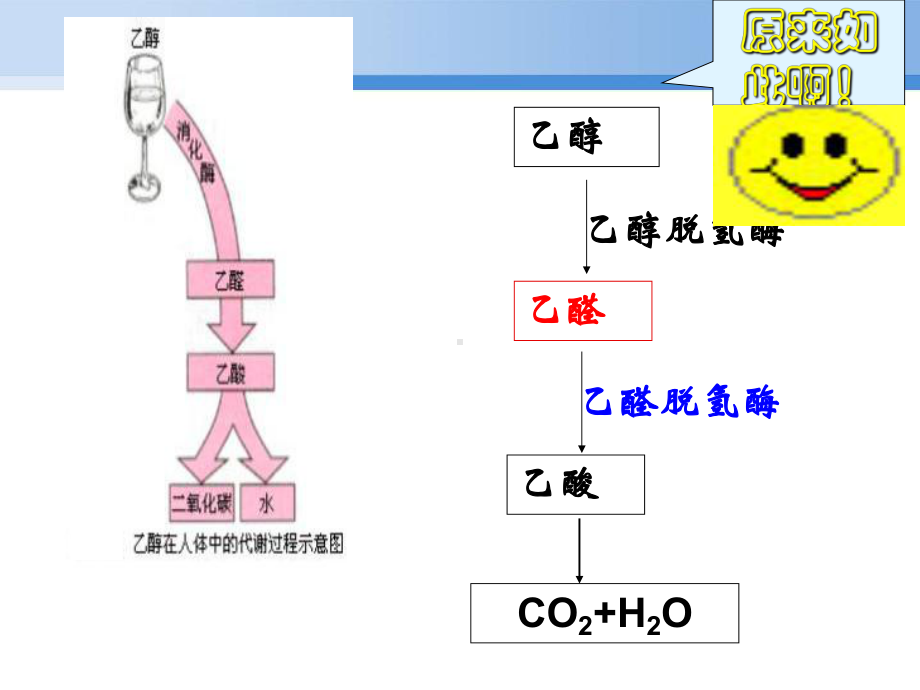 高中《有机化学基础》乙醛课件.ppt_第3页