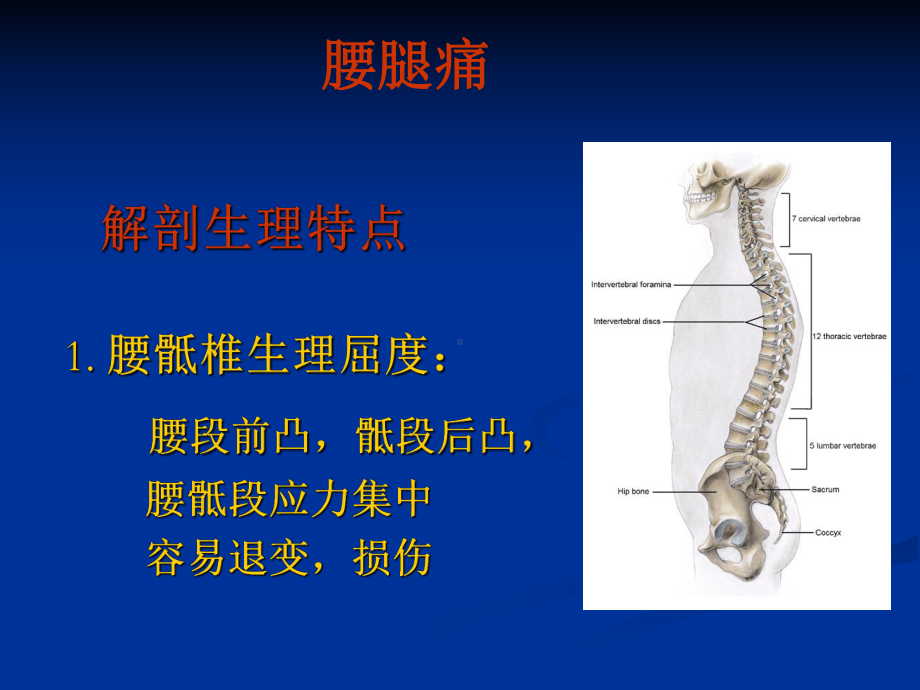 颈肩腰腿痛课件(演示).ppt_第3页