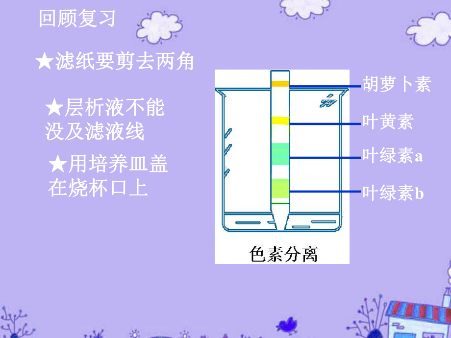 高一生物必修1 光合作用的原理和应用课件.ppt_第2页