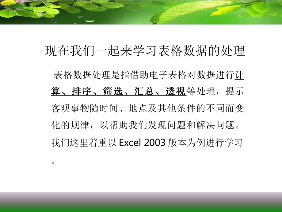 高中信息技术《表格数据的处理》优质教学课件设计.pptx_第2页