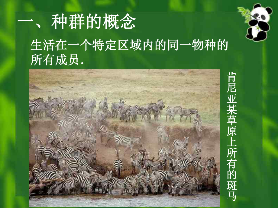 高中生物种群的稳态与调节课件.ppt_第3页