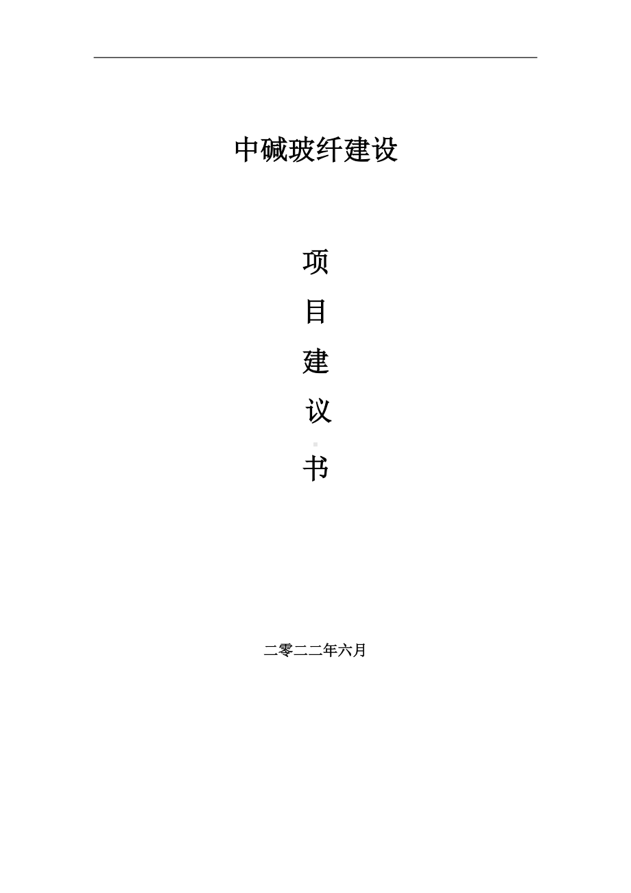 中碱玻纤项目建议书（写作模板）.doc_第1页