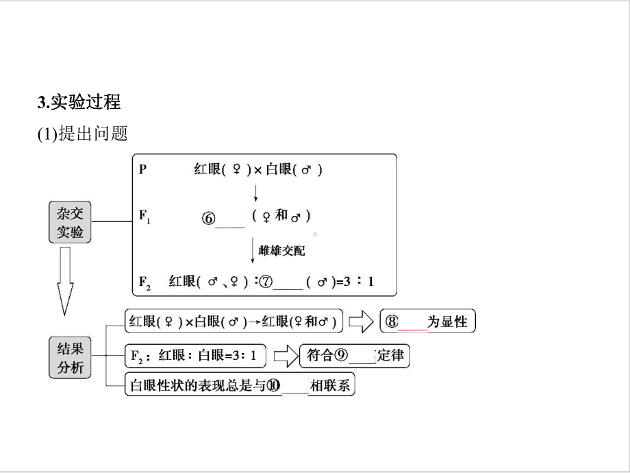 高考生物二轮复习课件：专题13伴性遗传和人类遗传病.ppt_第3页