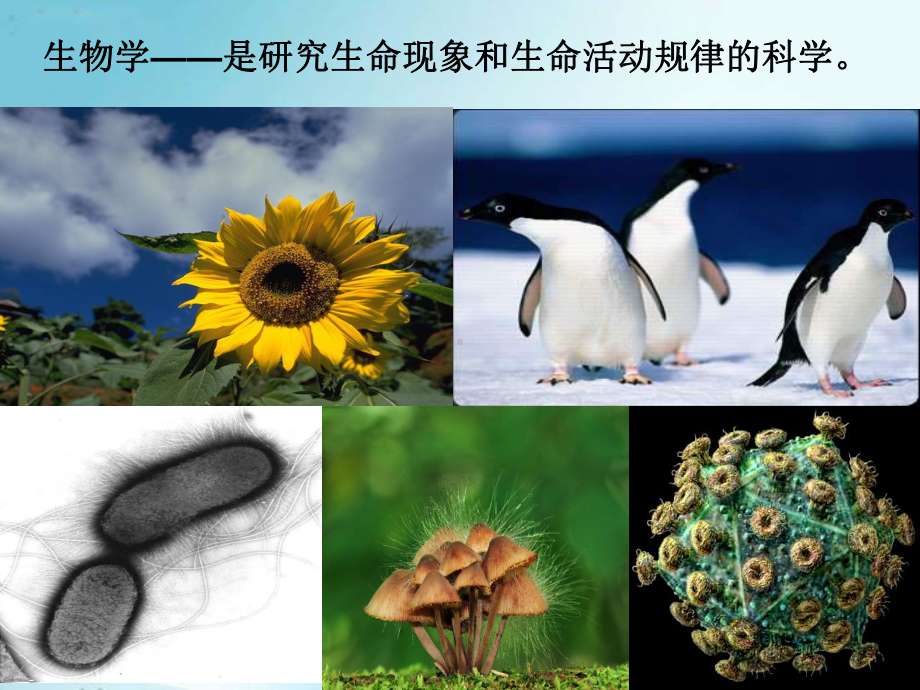 高中生物第一节课学科介绍课件.pptx_第2页