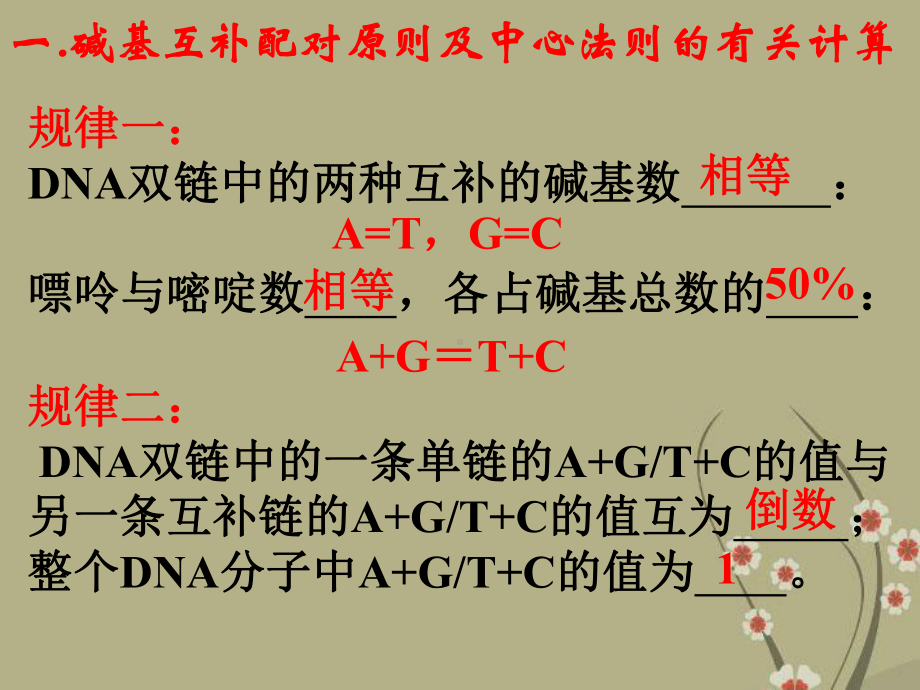 高中生物专题复习遗传学中的计算课件新人教版必修2.ppt_第3页