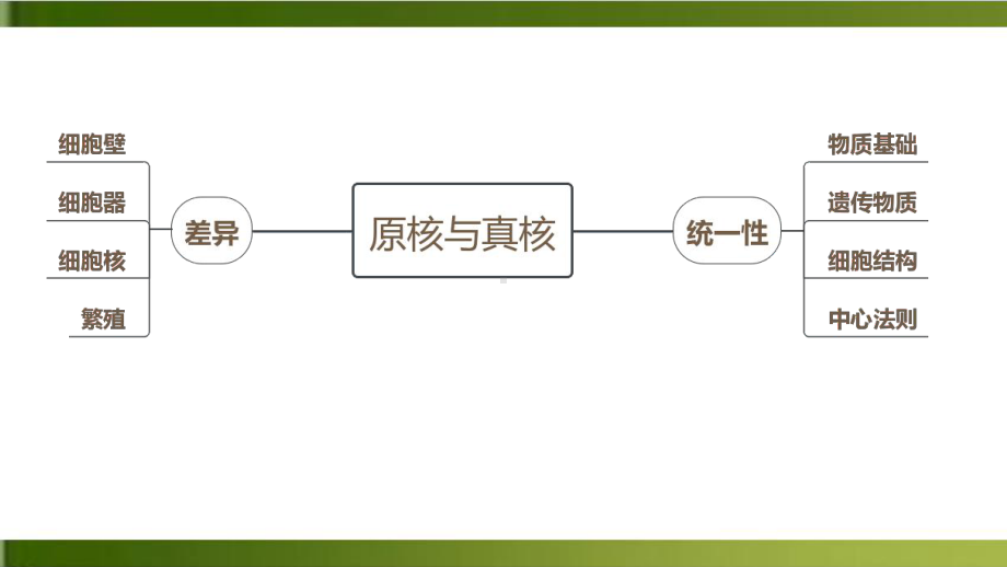 高考一轮复习原核细胞与真核细胞课件.pptx_第2页