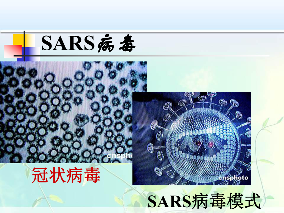 高中生物 从生物圈到细胞课件.ppt_第3页