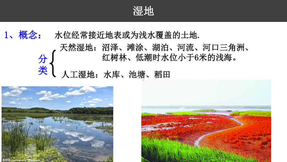 高中地理微专题复习 北方地区东北地区 湿地课件.pptx_第3页