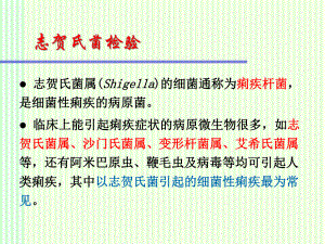 食品微生物检验：志贺氏菌、弧菌课件.ppt