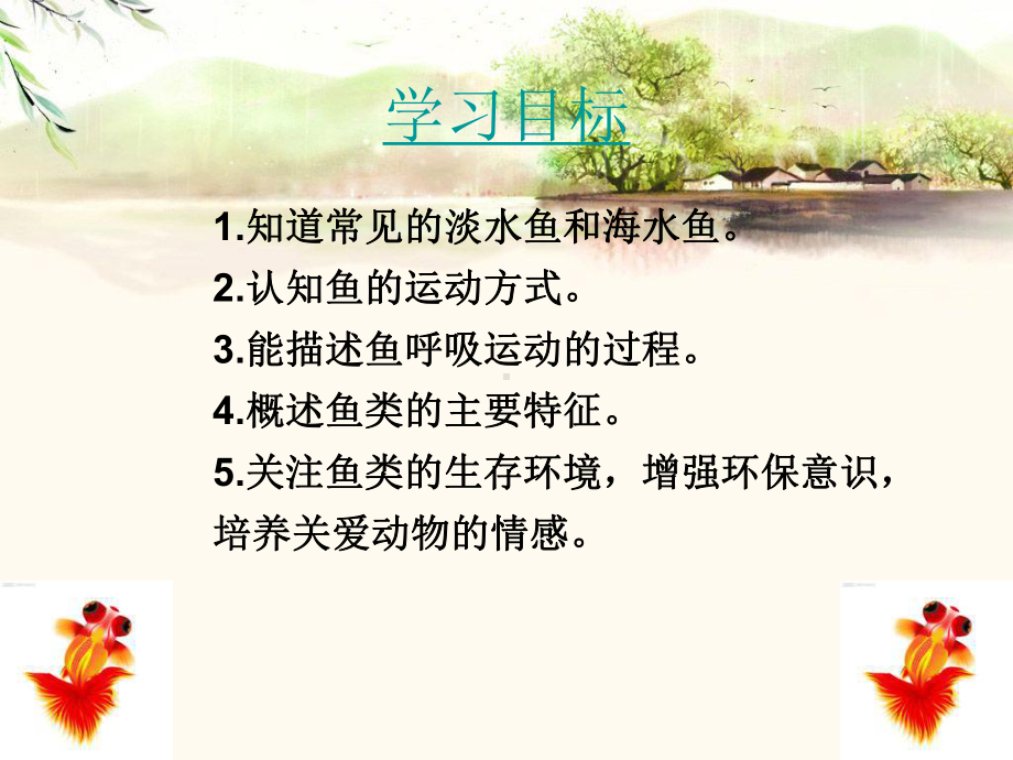 鱼— 初中八年级上册生物课件.ppt_第3页