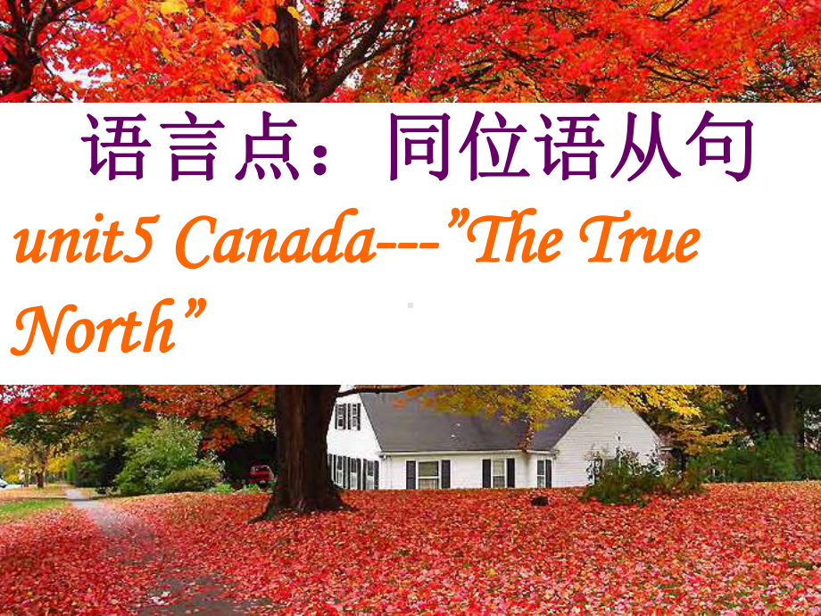 高中英语必修3 Unit-5-Canada The-True-North-语言点及同位语从句课件.ppt（纯ppt,不包含音视频素材）_第1页