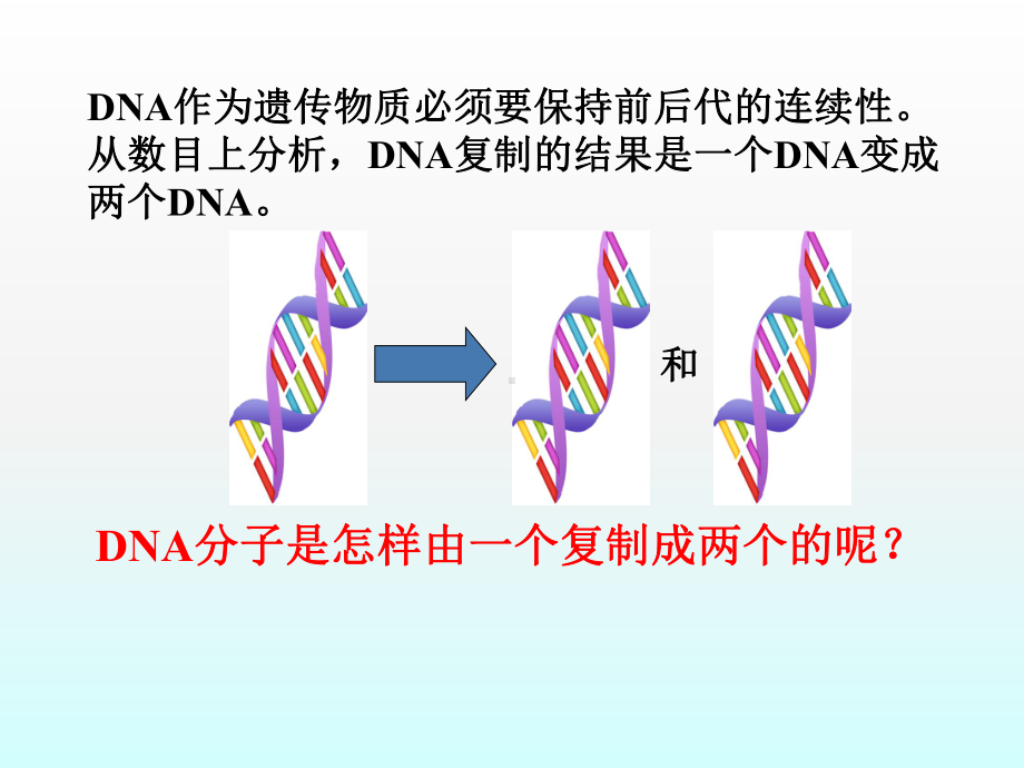 高中生物必修一《DNA的复制》(优质课)课件.ppt_第1页