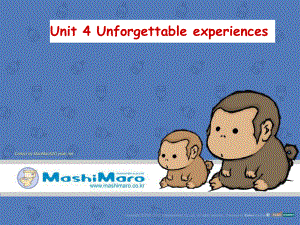 高一英语Unit4 unforgettable experience 新课标 人教版课件.ppt（纯ppt,不包含音视频素材）