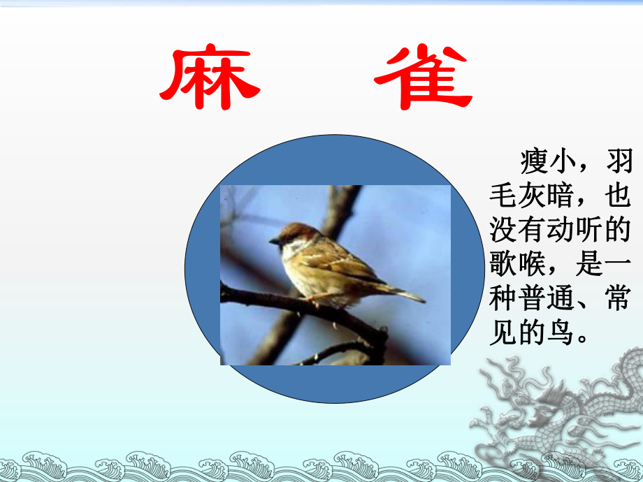 麻雀教学课件1.ppt_第2页