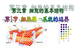 高中生物必修一人教版：31细胞膜-系统的边界课件课件.ppt