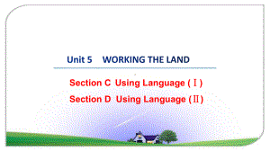 高中英语 新人教版选择性必修一 Unit5Using Language 课件.pptx（纯ppt,不包含音视频素材）