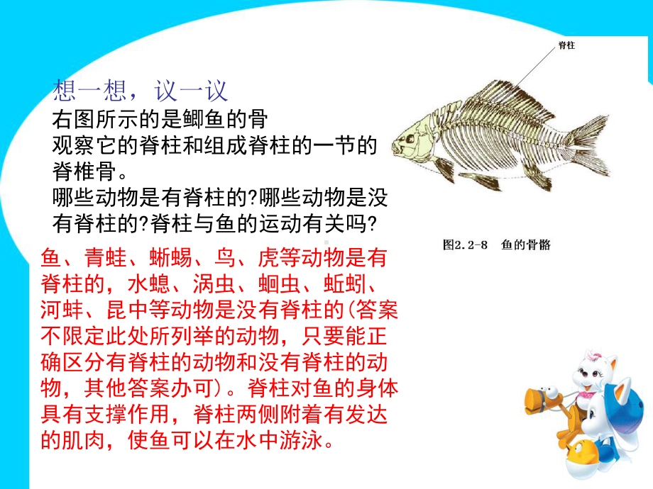 鱼人教版八年级上册生物课件.ppt_第2页