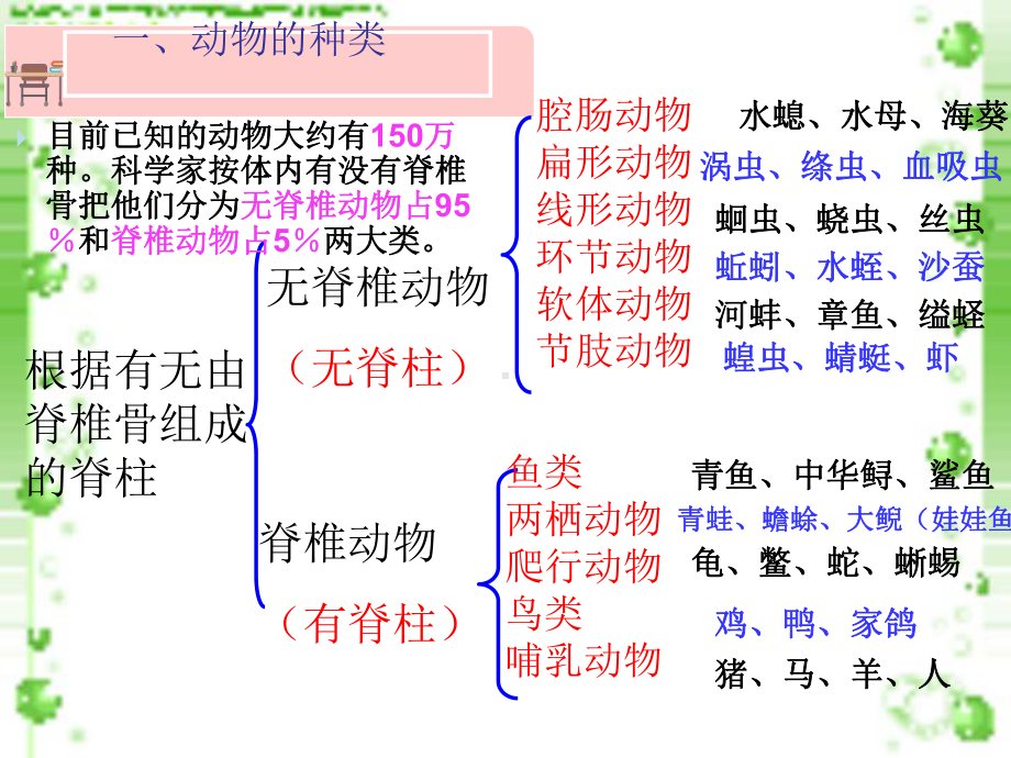 鱼人教版八年级上册生物课件.ppt_第3页