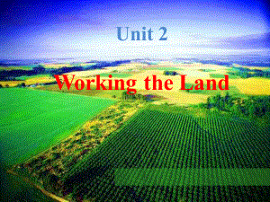 高中英语《Unit2 Working the Land》优质教学课件.pptx（纯ppt,不包含音视频素材）