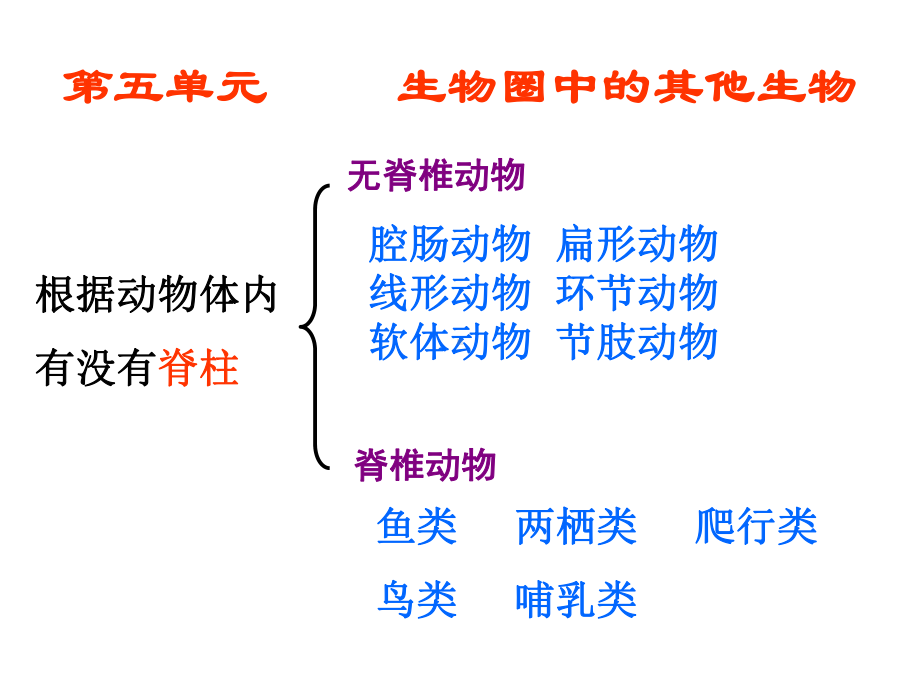 鲁科版五四制生物八上八年级生物上册总复习课件.ppt_第2页