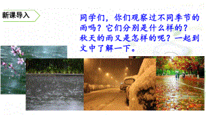 部编版秋天的雨完美版课件.ppt