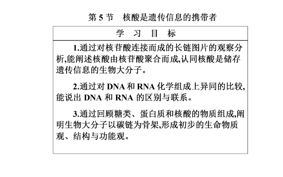 高中生物学必修1 第5节 核酸是遗传信息的携带者课件.ppt_第2页