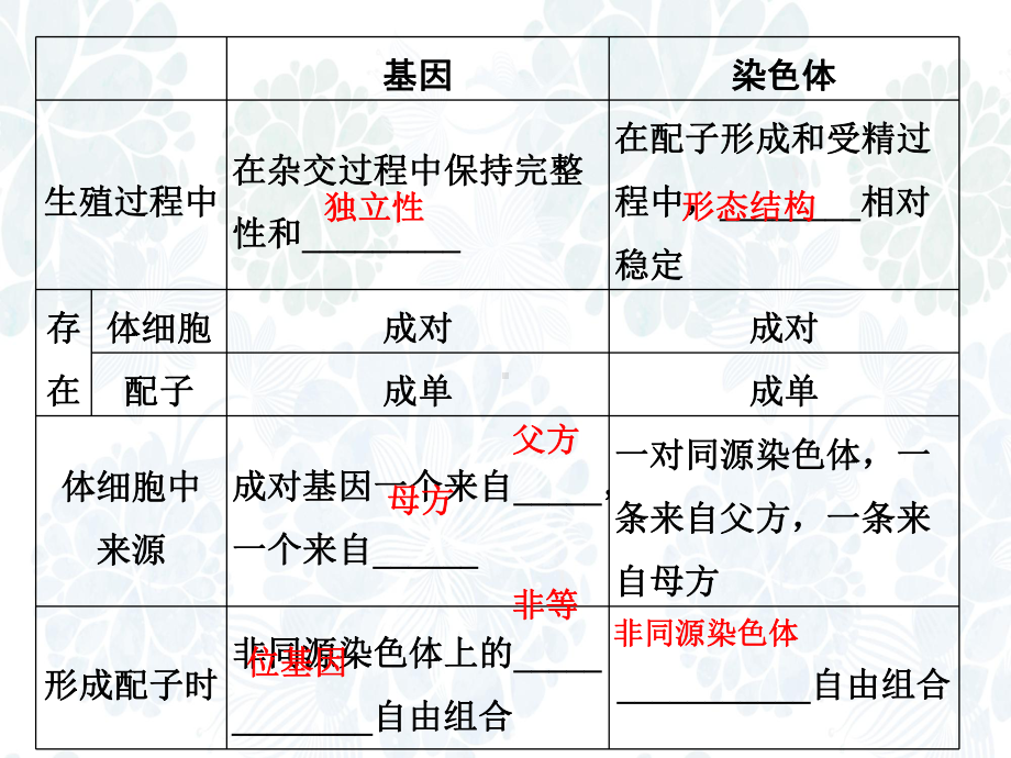 高三生物一轮复习优质课件：基因在染色体上、伴性遗传.ppt_第3页