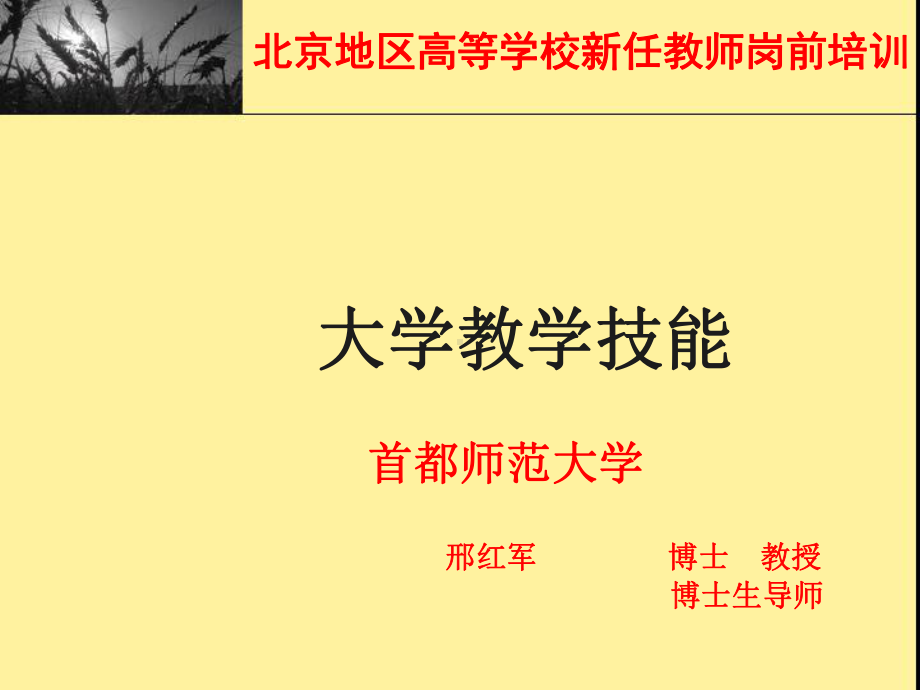 高校教师大学教学技能(课件.ppt_第1页