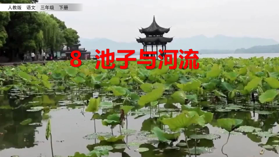 （语文）部编人教版小学语文三年级下册08池子与河流优质公开课课件.pptx_第3页