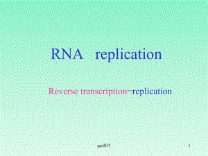 RNA指导的DNA复制(逆转录)及病毒的复制课件.ppt