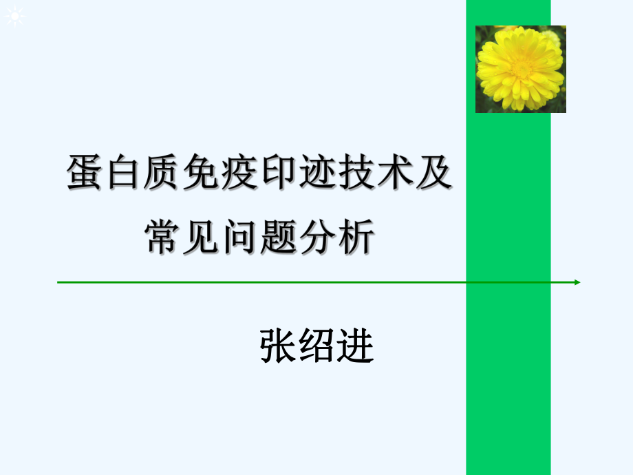 WesternBlot详解及问题分析课件.ppt_第1页