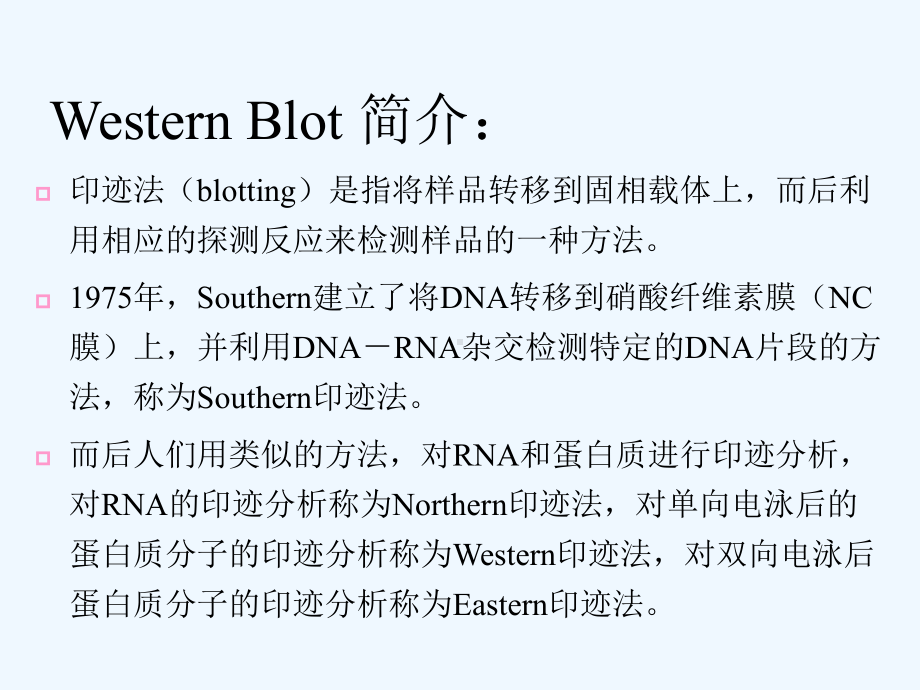 WesternBlot详解及问题分析课件.ppt_第3页