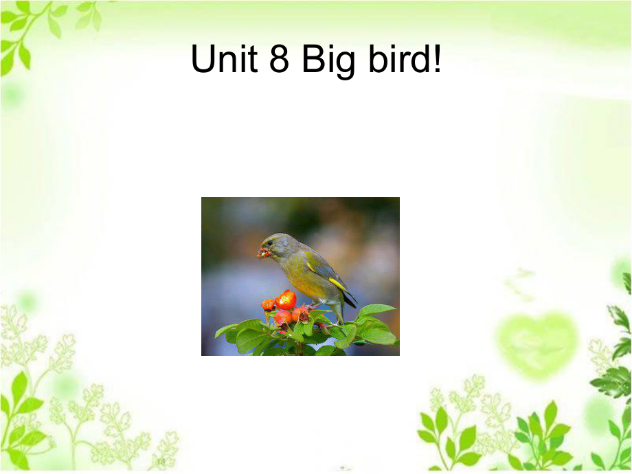 Unit-8-Big-bird!课件1-优质公开课-北师大一起3下.ppt（纯ppt,不包含音视频素材）_第1页