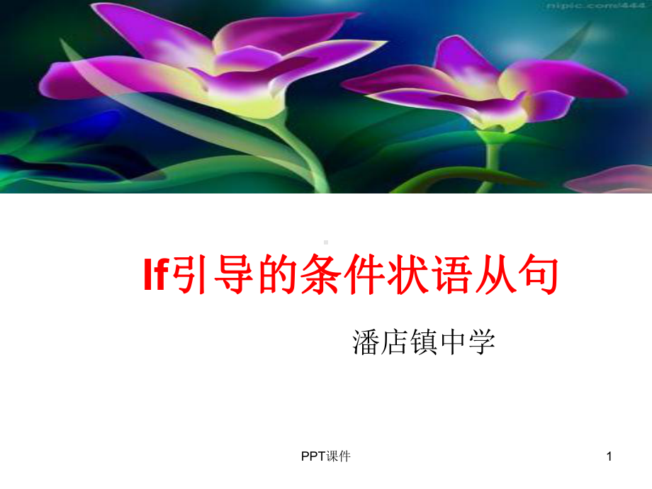 If引导的条件状语从句课件.ppt_第1页