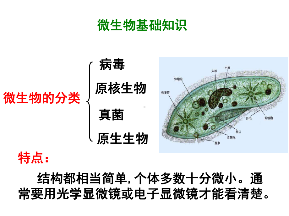 （实验）培养基的配制和灭菌课件.ppt_第2页