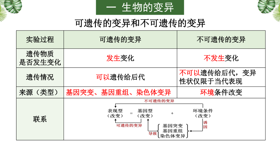 2021届新高考生物冲刺复习：基因突变课件.pptx_第3页