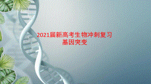 2021届新高考生物冲刺复习：基因突变课件.pptx